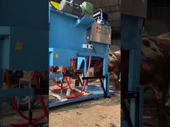 High Quality Mobile Cattle Cow Hoof Trimming Chute Cattle Squeeze Crusher Cattle Handling Machine