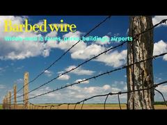 Neat And Bright Barbed Wire Designs Good Anti-theft Performance