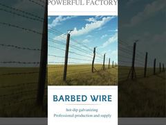 barbed wire