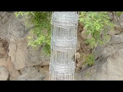 1.8mm Thickness Field Fence Farming Goats Hot Dipped Galvanzied