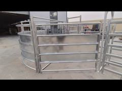Cattle Yard Showcase Video 02