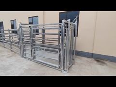 Cattle Yard Showcase Video 03