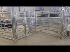 Cattle Yard Showcase Video 07