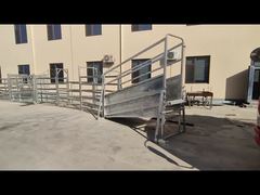 Cattle Yard Showcase Video 08