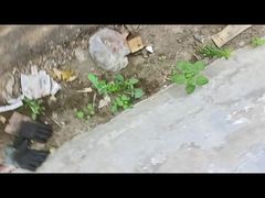 Barbed Wire Showcase Video 02